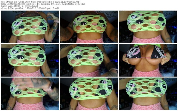 streamate-dixierebeldixiedime-11-13-2025-06-56-18