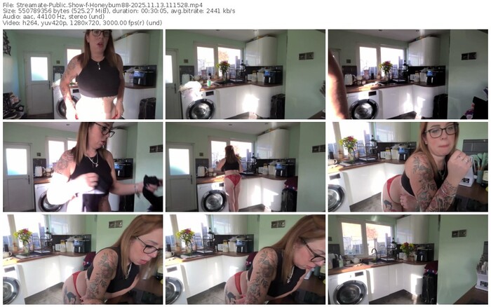 streamate-honeybum88-11-13-2025-11-15-28