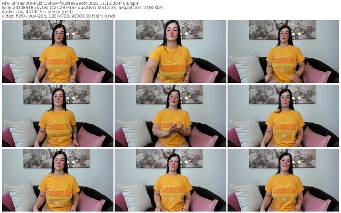 streamate-kattesweett-11-13-2025-20-44-04