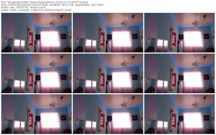 streamate-kayliemorris-11-13-2025-03-37-12