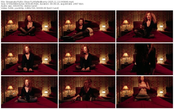 streamate-littleredbunny-11-13-2025-04-38-40
