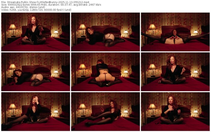 streamate-littleredbunny-11-13-2025-05-52-12