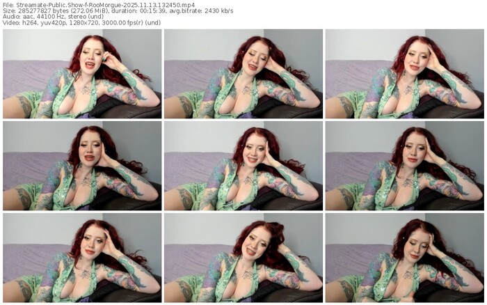 streamate-roomorgue-11-13-2025-13-24-50