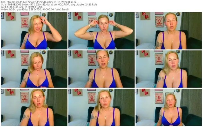 streamate-trinityb-11-13-2025-20-22-01