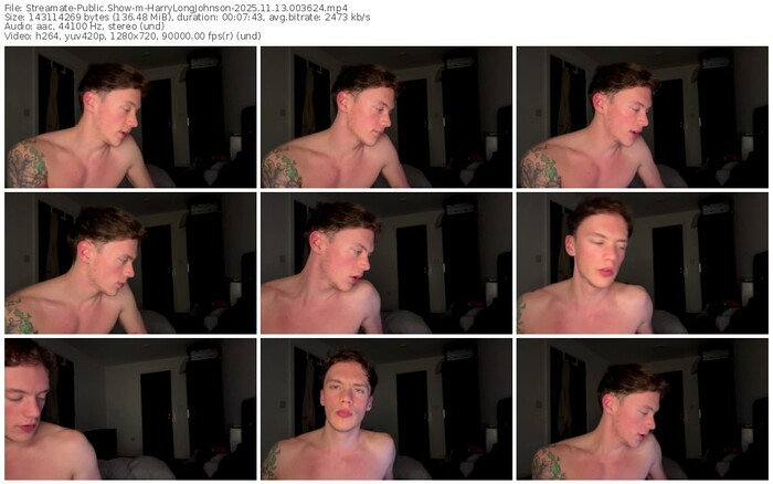 streamate-harrylongjohnson-11-13-2025-00-36-24