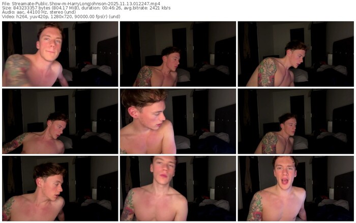 streamate-harrylongjohnson-11-13-2025-01-22-47