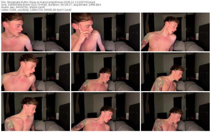 streamate-harrylongjohnson-11-13-2025-22-07-03