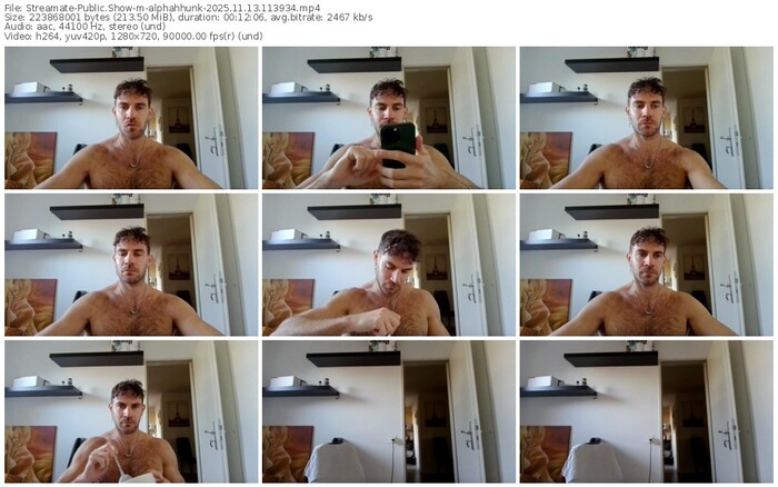 streamate-alphahhunk-11-13-2025-11-39-34