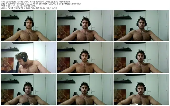 streamate-alphahhunk-11-13-2025-17-31-02
