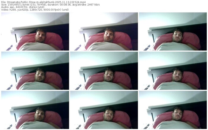 streamate-alphahhunk-11-13-2025-22-15-24
