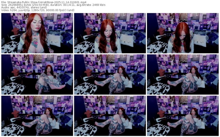 streamate-ariahrose-11-14-2025-01-06-01