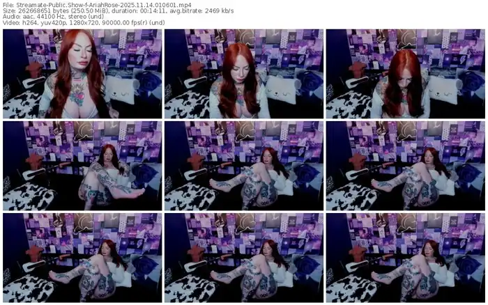streamate-ariahrose-11-14-2025-01-06-01