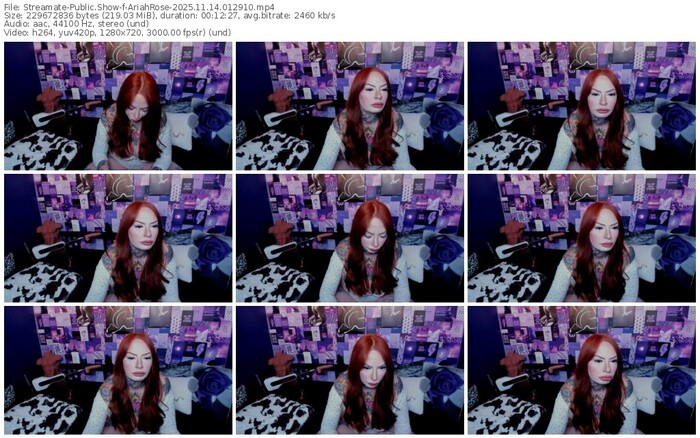 streamate-ariahrose-11-14-2025-01-29-10