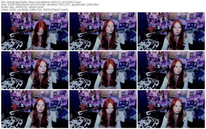 streamate-ariahrose-11-14-2025-01-29-10