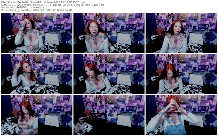 streamate-ariahrose-11-14-2025-02-35-37