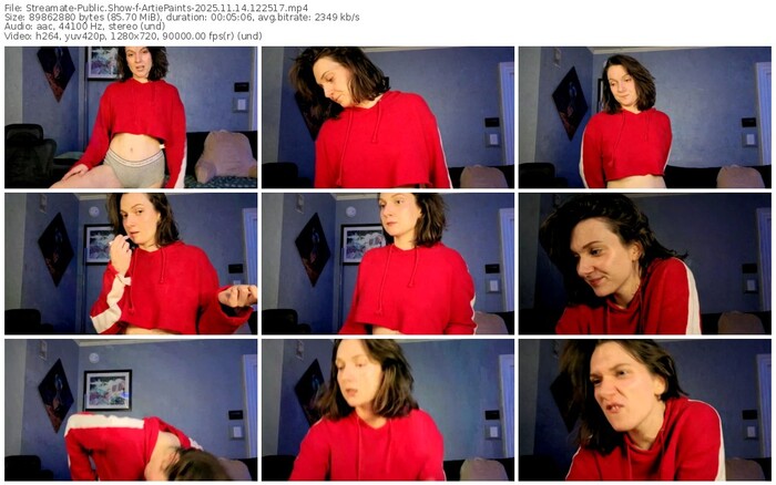 streamate-artiepaints-11-14-2025-12-25-17