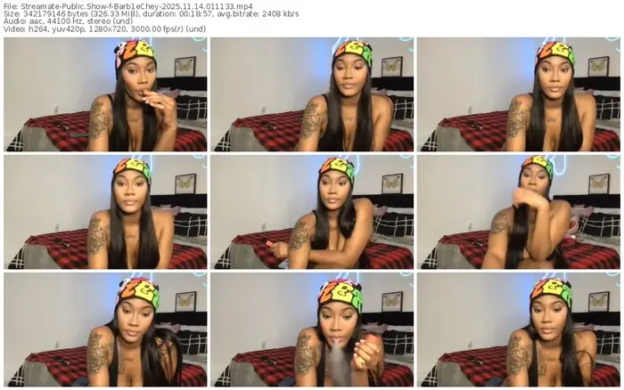 streamate-barb1echey-11-14-2025-01-11-33