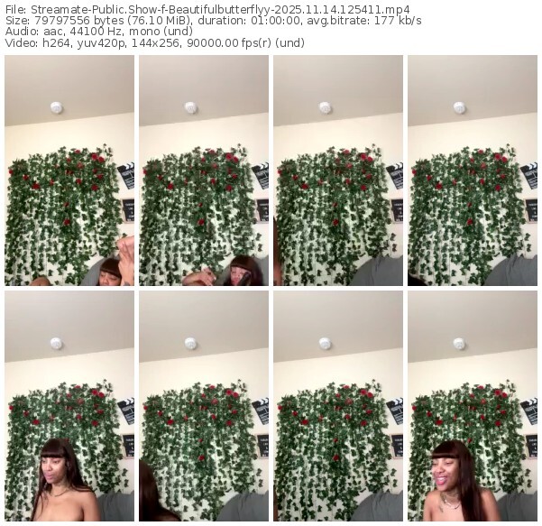 streamate-beautifulbutterflyy-11-14-2025-12-54-11