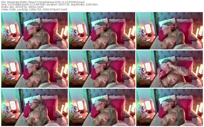 streamate-claravanessa-11-14-2025-00-56-03