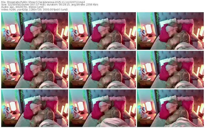 streamate-claravanessa-11-14-2025-02-07-12