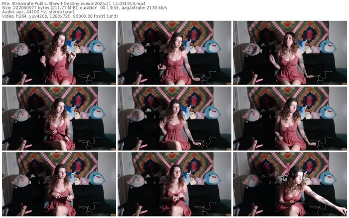 streamate-destinylovexo-11-14-2025-03-19-13