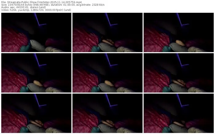 streamate-hesster-11-14-2025-00-57-59