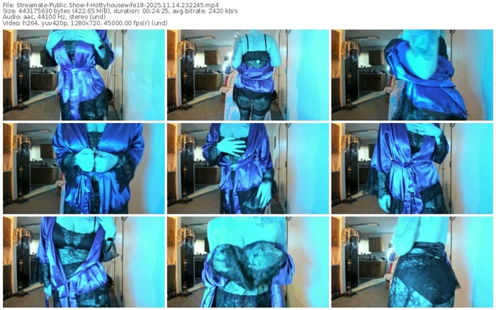 streamate-hottyhousewife18-11-14-2025-23-22-45