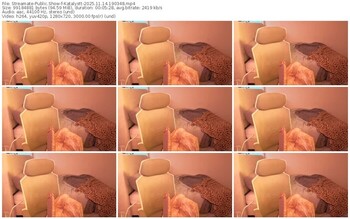 streamate-katalystt-11-14-2025-19-03-48