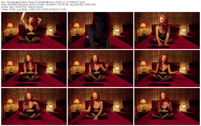 streamate-littleredbunny-11-14-2025-08-49-27