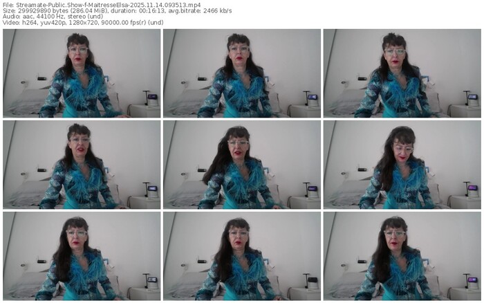 streamate-maitresseelsa-11-14-2025-09-35-13
