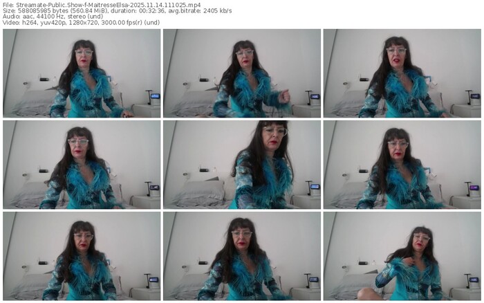 streamate-maitresseelsa-11-14-2025-11-10-25