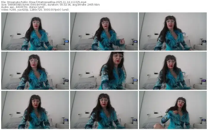 streamate-maitresseelsa-11-14-2025-11-10-25