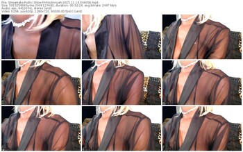 streamate-missannyah-11-14-2025-04-40-58