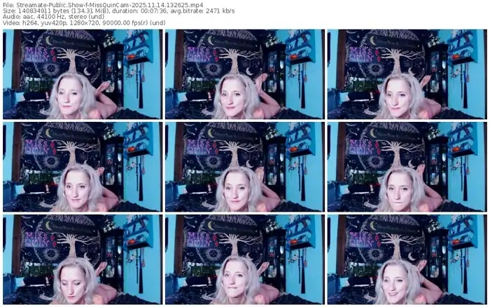 streamate-missquincam-11-14-2025-13-26-25