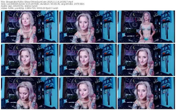 streamate-missquincam-11-14-2025-14-34-17