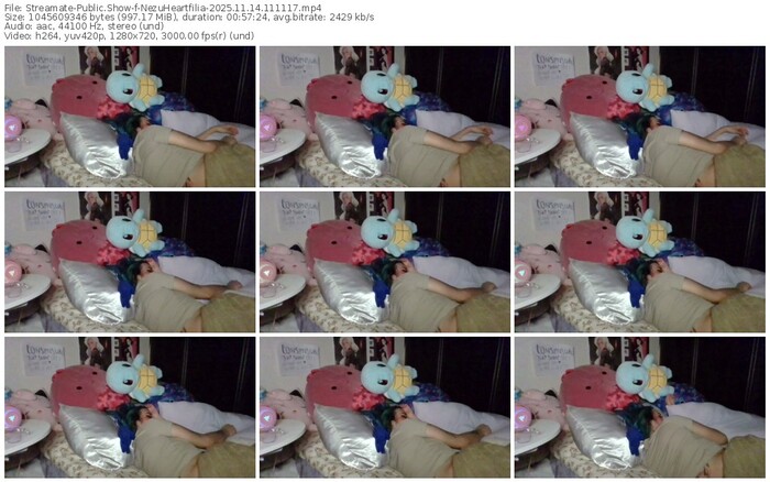 streamate-nezuheartfilia-11-14-2025-11-11-17