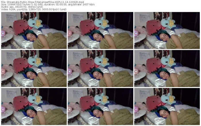 streamate-nezuheartfilia-11-14-2025-12-09-20