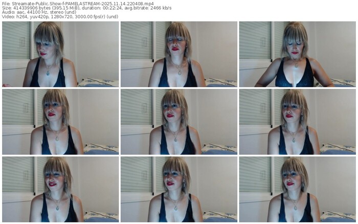 streamate-pamelastream-11-14-2025-22-04-08