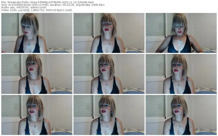 streamate-pamelastream-11-14-2025-22-04-08