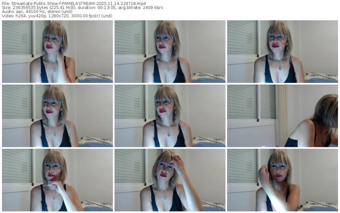 streamate-pamelastream-11-14-2025-22-47-18