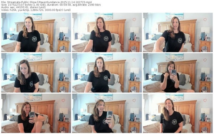 streamate-ravensundance-11-14-2025-16-27-23