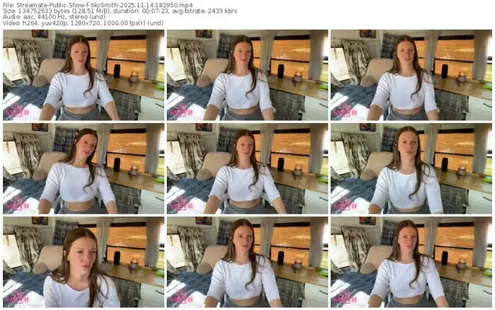 streamate-skysmith-11-14-2025-18-29-50