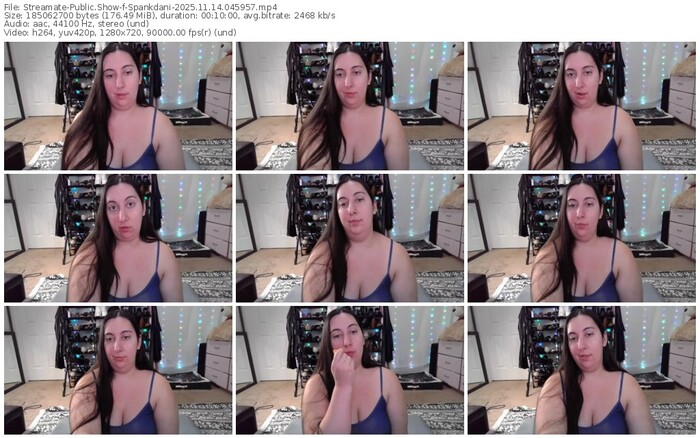 streamate-spankdani-11-14-2025-04-59-57