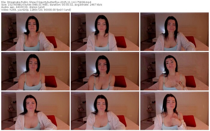 streamate-squirtybutterflyx-11-14-2025-17-58-38