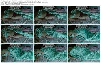 streamate-vixenminx-11-14-2025-14-01-52