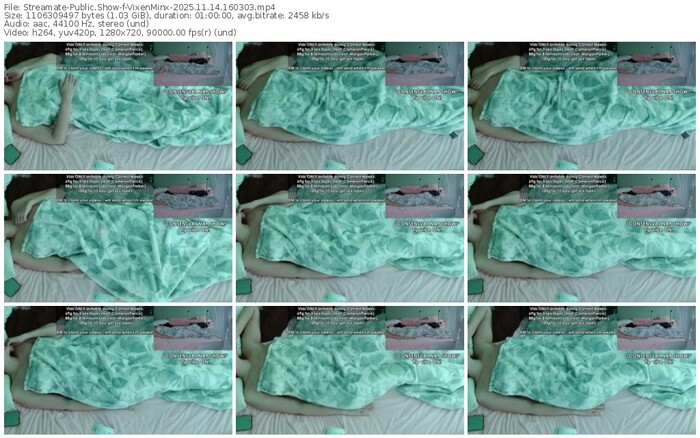 streamate-vixenminx-11-14-2025-16-03-03