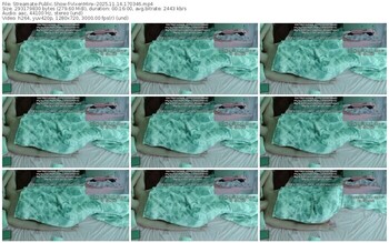 streamate-vixenminx-11-14-2025-17-03-46