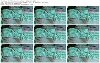 streamate-vixenminx-11-14-2025-17-23-30