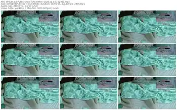 streamate-vixenminx-11-14-2025-17-23-30