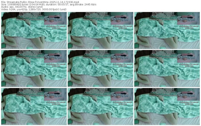 streamate-vixenminx-11-14-2025-17-23-30